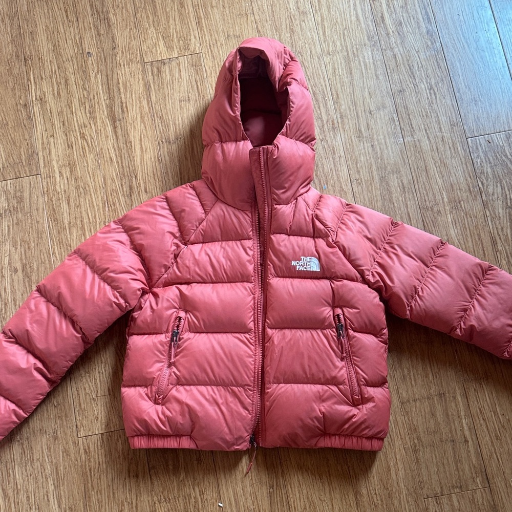 The North Face Hydrenalite Hooded Down Jacket